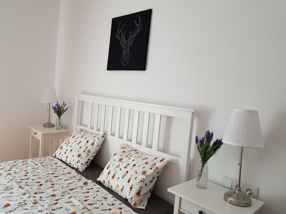 Oberiter Apartments - Center Of Zagreb, Fast Wifi, Ac, Kitchen, Parking Luaran gambar
